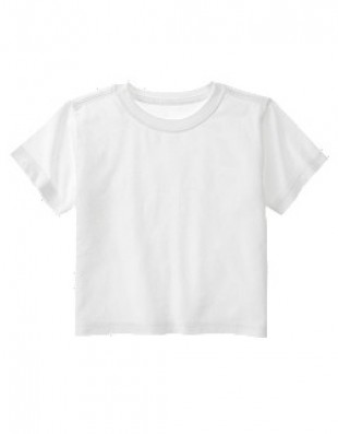 Набор футболок для мальчика Gymboree, 2 шт.